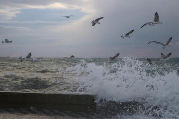 Tekirdağ'da ulaşıma lodos engeli