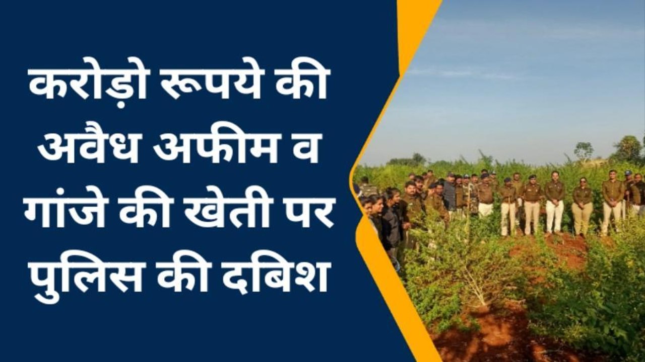 खेतों में पुलिस की दबिश: करोड़ों रुपए की अवैध अ...