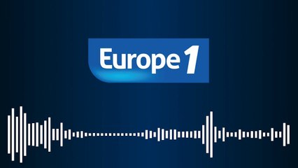 L'hermelle, ce ver des sables qui pourrait sauver nos côtes contre l'érosion