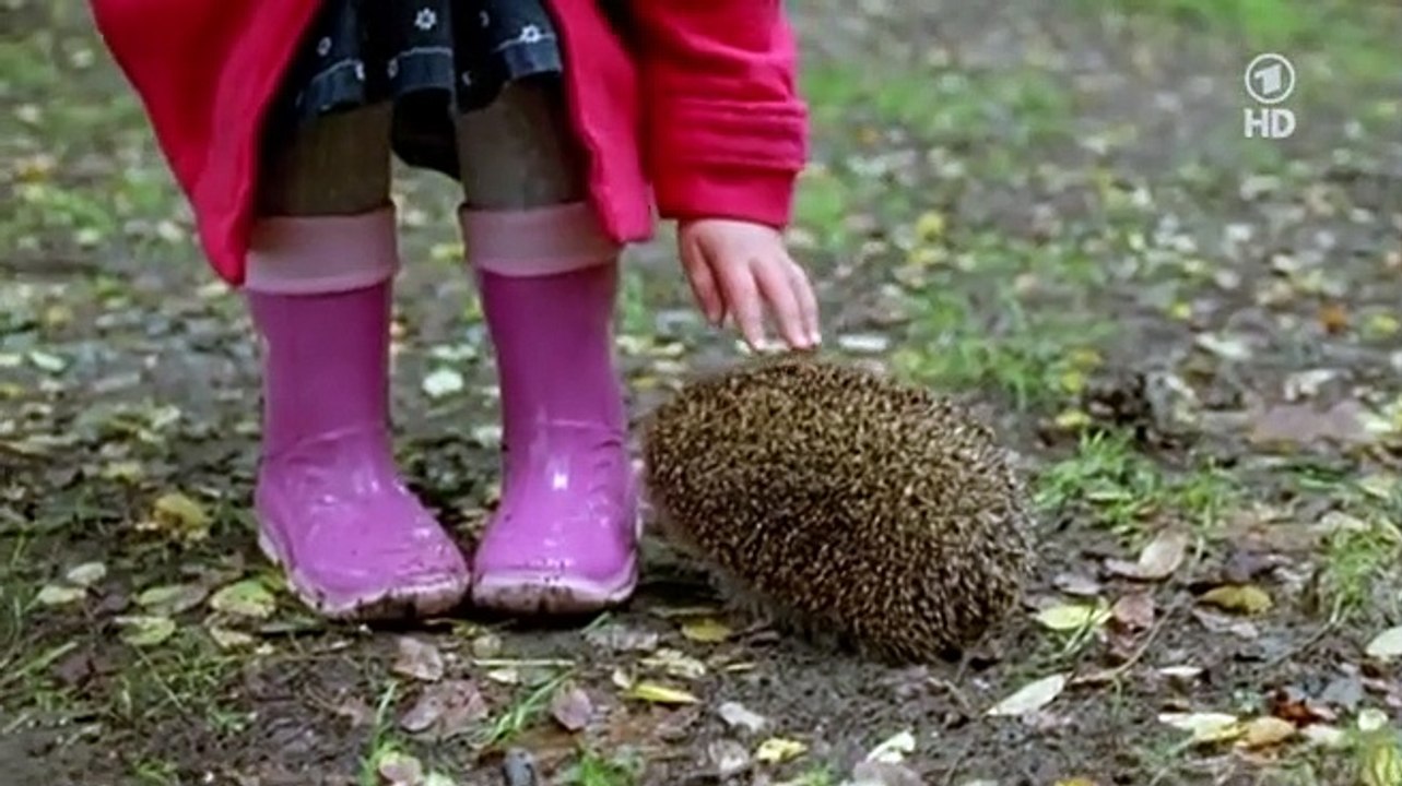 Polizeiruf 110 Staffel 39 Folge 6 - Part 01 HD Deutsch