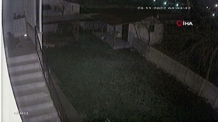 Düzce depreminde şiddetli sarsıntı kameralara yansıdı!