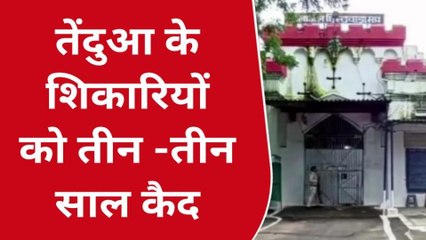 छिंदवाड़ा: शिकारी करंट फैलाकर कर रहे तेंदुए का शिकार, देखे मामला