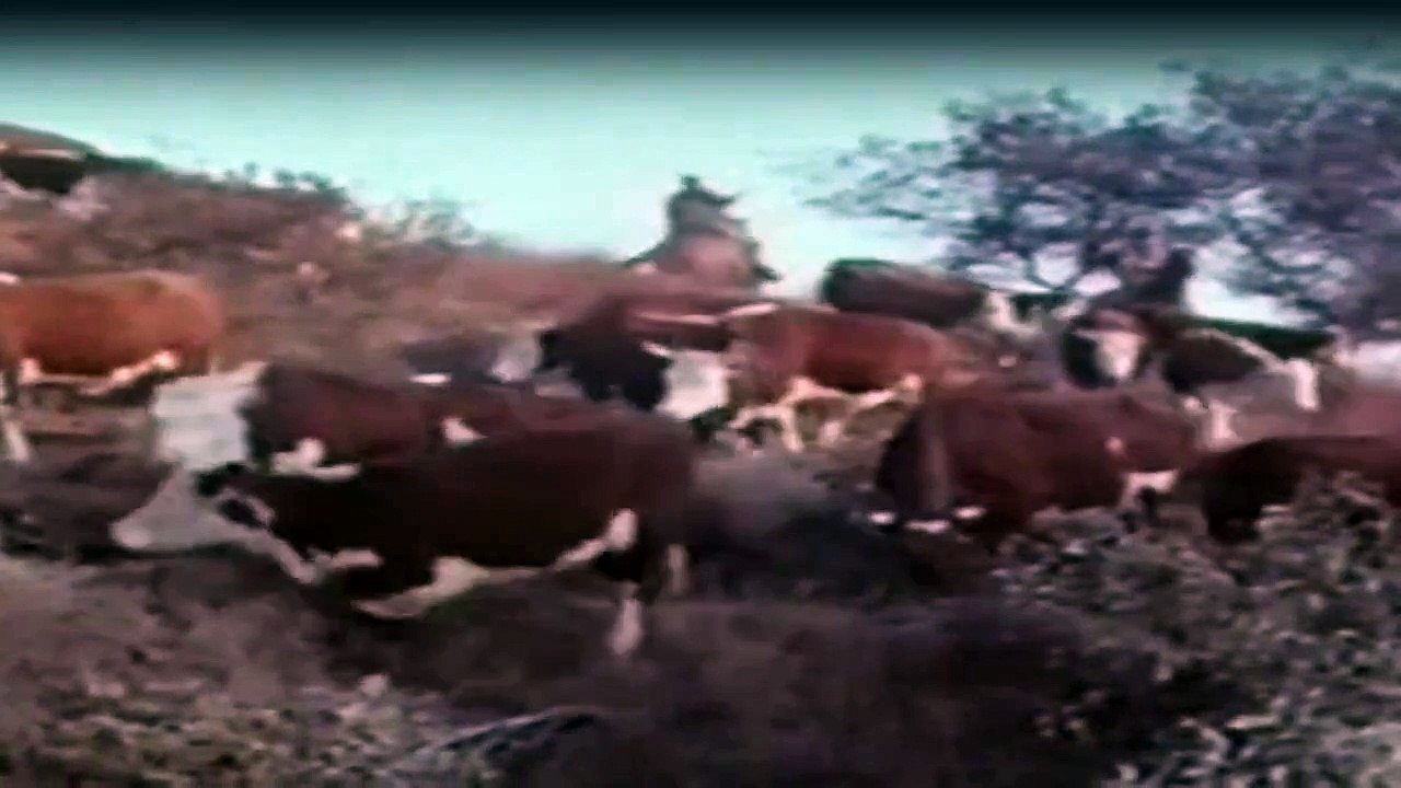 Die Leuteder Shiloh Ranch Staffel 6 Folge 14 - Part 02 HD Deutsch