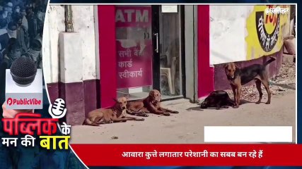 स्पेशल चंदौली: लोगों की राय आवारा कुत्ते बन रहे परेशानी का सबब,बढ रही परेशानी