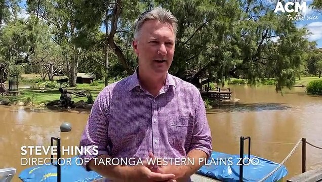 New Peddle Boats at Taronga Western Plains Zoo Dubbo