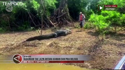 Hubungan Tak Lazim Manusia dan Reptil Kaiman Ini jadi Viral
