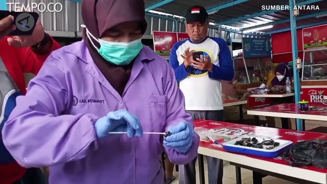 Ratusan Burung Pipit Berjatuhan dan Mati Mendadak di Balai Kota Cirebon