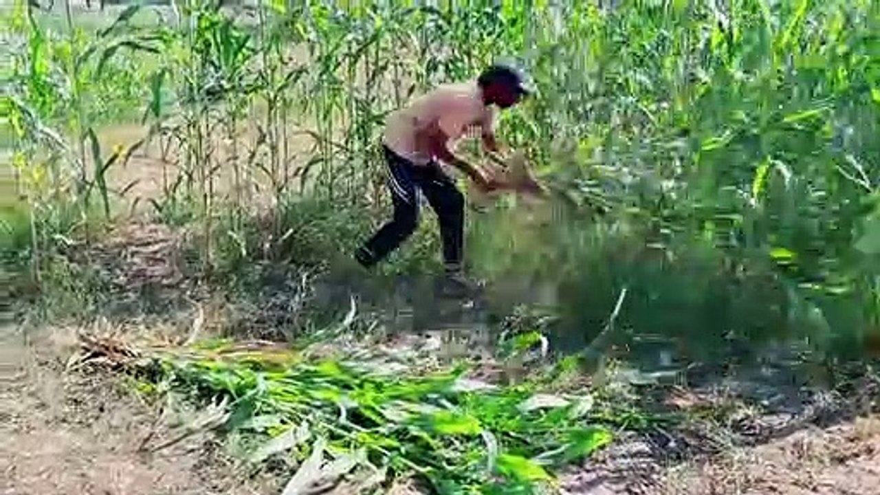Video Dekho Bhai II Saraiki Fun