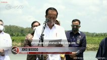 Gunakan Perahu Dayung, Presiden Tanam Mangrove di Cilacap