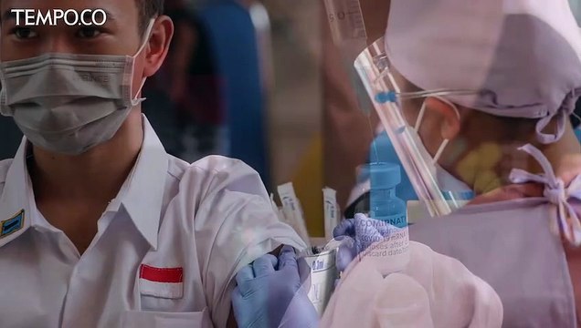 Vaksin Pfizer Diklaim Aman Bagi Anak 5-11 Tahun, Kemenkes Tunggu Kajian WHO