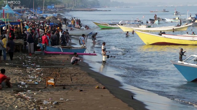 Peneliti Temukan Limbah Parasetamol di Pantai Jakarta