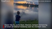 Viral, Buaya Menyambar Ikan di Kail Pancing Bocah Laki-laki