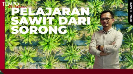 Pelajaran Sawit dari Sorong | Opini Tempo