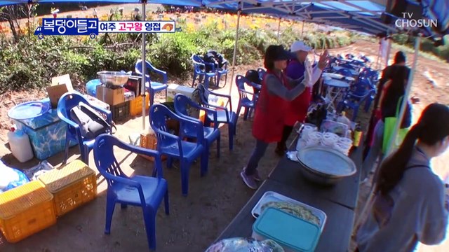여주 꿀 고구마 수확 작업현장에 도착한 복덩이들 TV CHOSUN 221123 방송