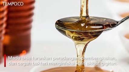5 Obat Alami Mengatasi Gatal Akibat Gigitan Nyamuk