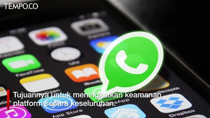 WhatsApp Berhenti Operasi di Ponsel iOS dan Android Lama Mulai 1 November