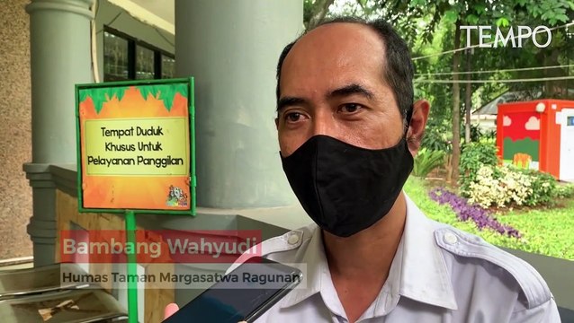 Mau ke Taman Margasatwa Ragunan Yang Sudah Dibuka Kembali, Ini Syaratnya