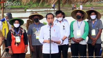Presiden Jokowi: Tahun Ini Indonesia Belum Pernah Impor Beras
