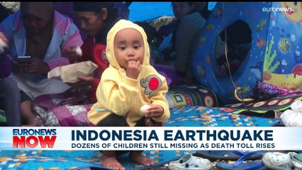 Latest news bulletin | November 23rd – Midday