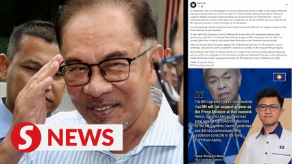 BN not supporting Anwar as PM, says MCA sec-gen