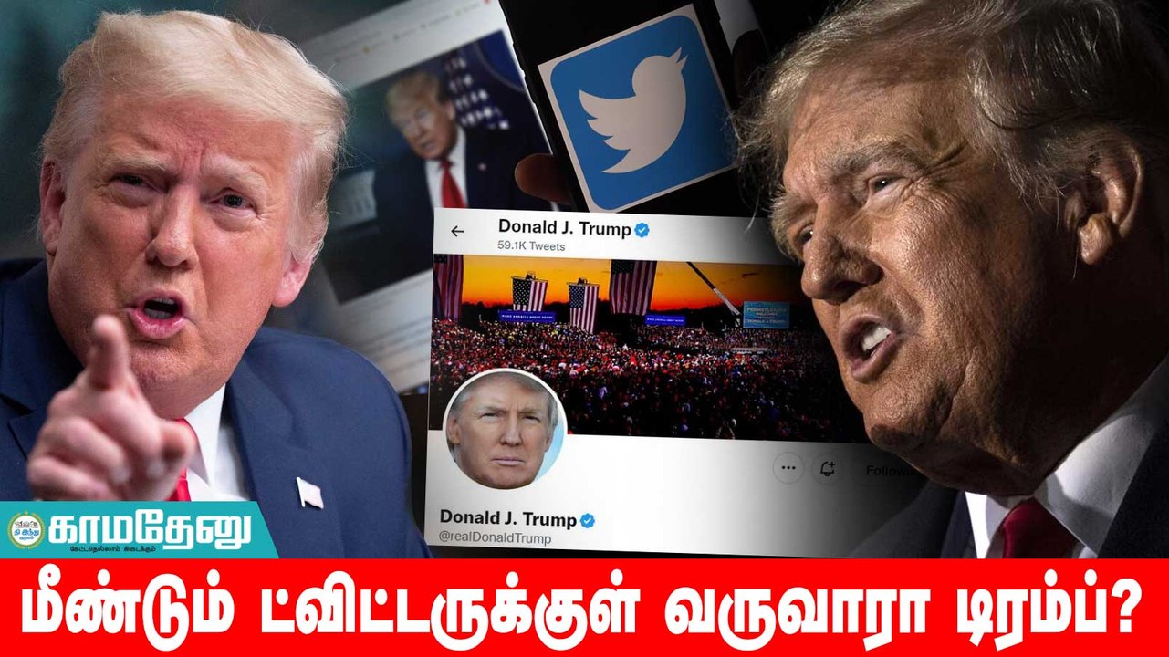 ட்விட்டருக்கான ‘வீடு திரும்பல்’: ட்ரம்ப் தயக்கத்தின் பின்னணியில் ஒளிந்திருக்கும் ‘உண்மை’