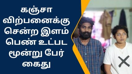 தமிழக -கேரள எல்லையில் இளம்பெண் உட்பட 3 பேர் கைது