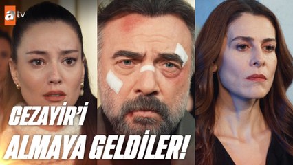 Cezayir gözaltına alınıyor! - Ben Bu Cihana Sığmazam 10. Bölüm
