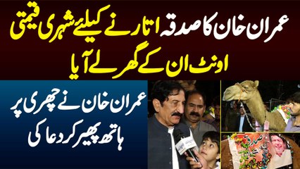Imran Khan Ka Sadqa - Shehri Camel Un Ke Gher Le Aya - Imran Khan Ne Churi Per Hath Pher Kar Dua Di