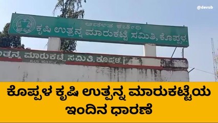 ಕೊಪ್ಪಳ: ಮೆಕ್ಕೆಜೋಳದ ಬೆಲೆಯಲ್ಲಿ ಏರಿಕೆ!