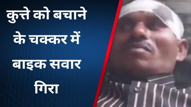 : कुत्ते को बचाने के चक्कर में बाइक सवार स्लीप होकर गिरा नीचे,हादसे में सिर पर आई चोट