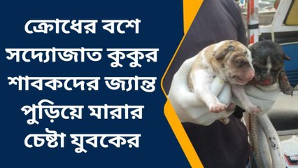 পশ্চিম মেদিনীপুর: নারকীয় ঘটনা! বস্তায় ঢুকিয়ে কুকুর ছানাদের পুড়িয়ে মারার চেষ্টা