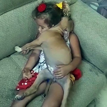 Quoi de plus mignon que ce bébé et son chien qui font dodo ensemble