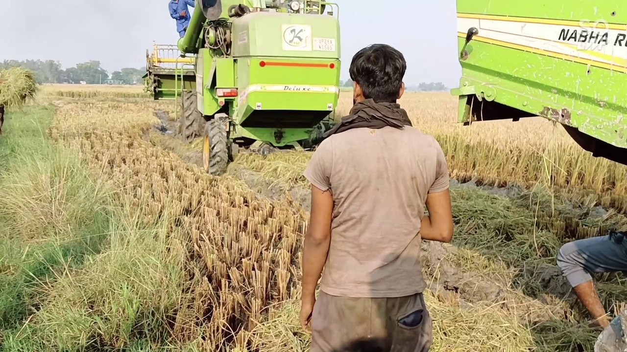 khet me fasi combine