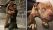 Angleterre : un homme retrouve son chien qui lui avait été volé lorsqu'il s'est effondré dans la rue