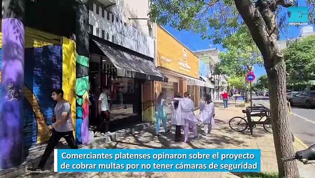 Comerciantes platenses opinaron sobre el proyecto de cobrar multas por no tener cámaras de seguridad