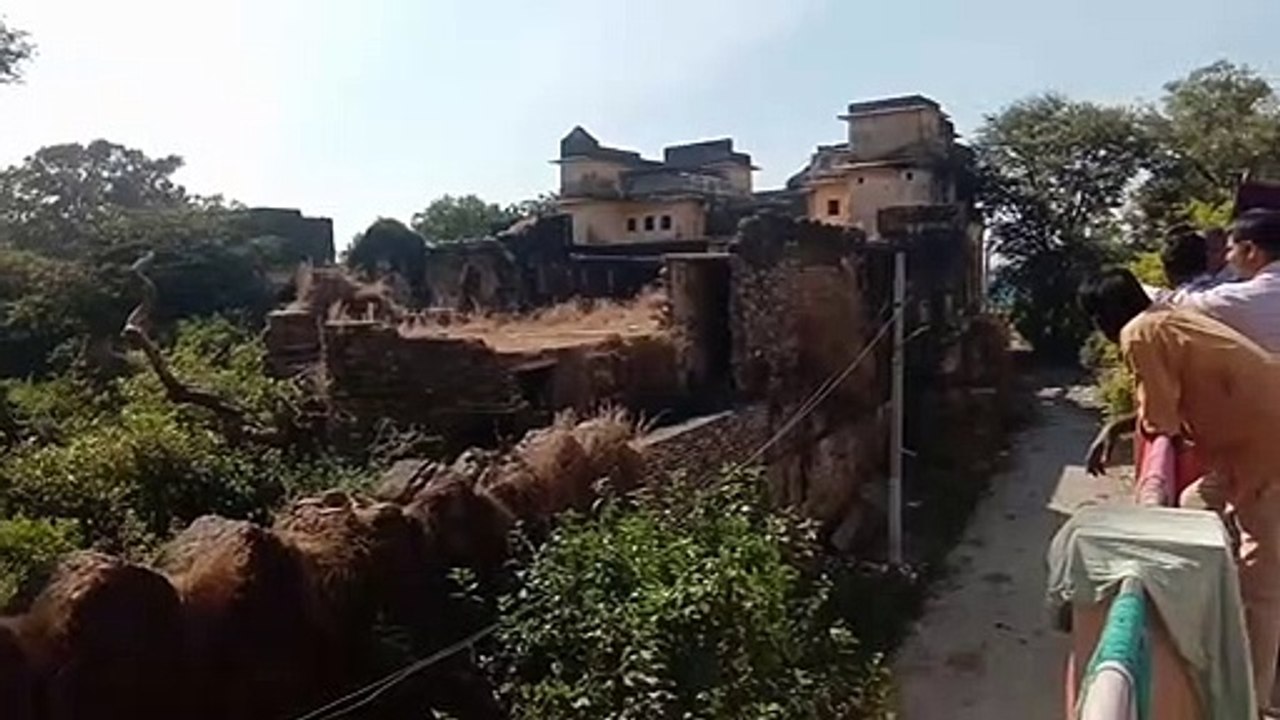 रणथंभाैर की फ्लाइंग रेपिड रेस्पांस टीम ने बदली पैंथर के रेस्क्यू की व्यू रचना
