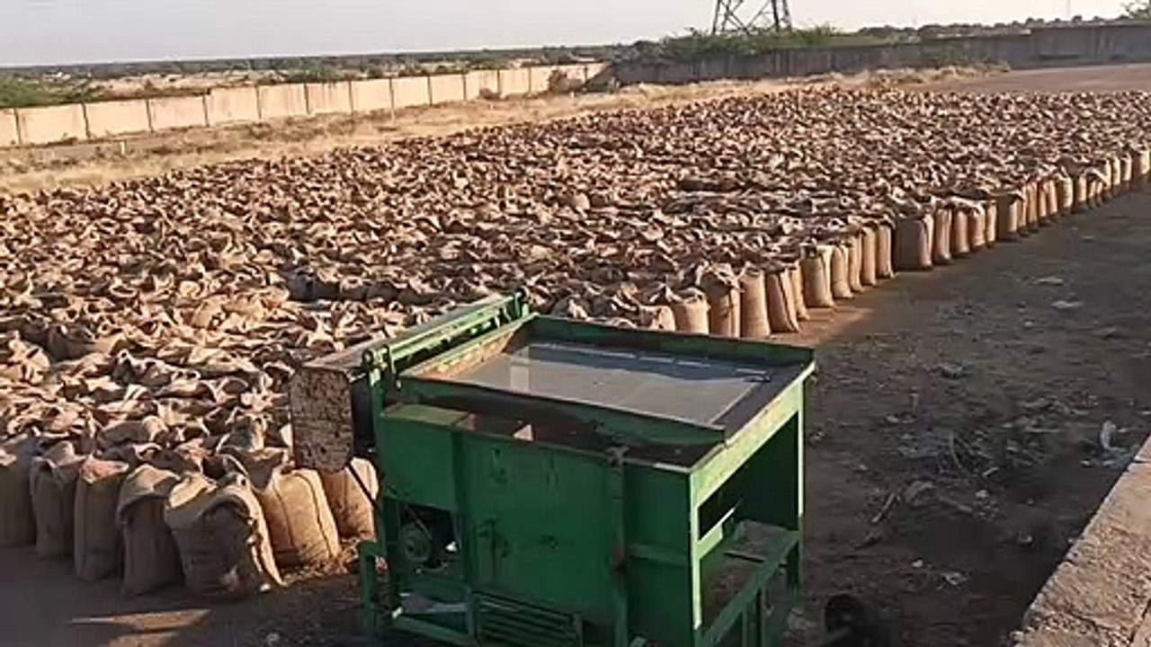 मूण्डवा खरीद केन्द्र पर फिर बारदाने का संकट, आज नहीं होगी खरीद