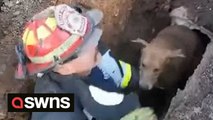 Heroic firefighter rescues trapped dog stuck in drain after owners were unable to save it after hearing its whines