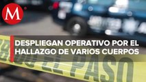 Abandonan cuerpos en la comunidad Casa Blanca en Zacatecas