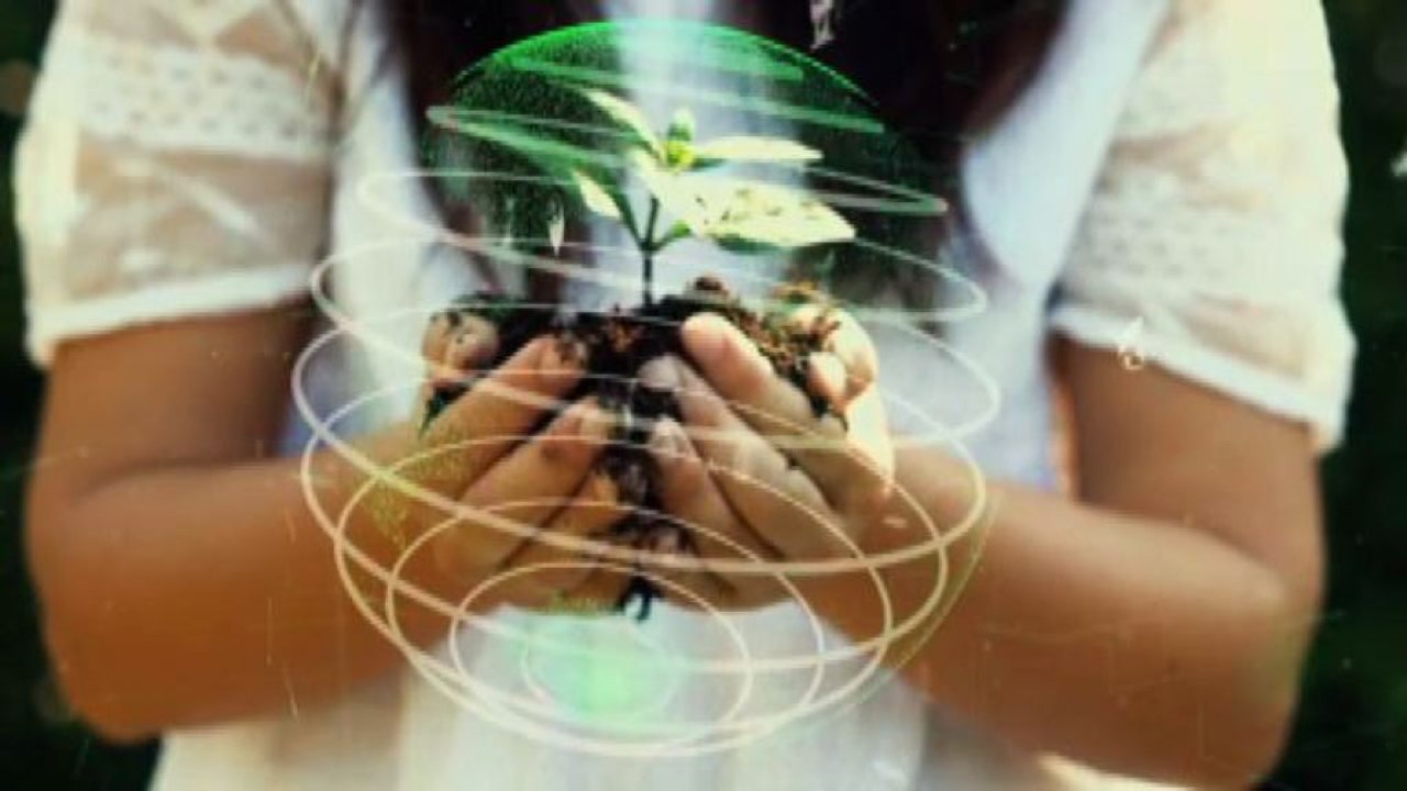 Sviluppo sostenibile e risposte all'AMR per migliorare la salute