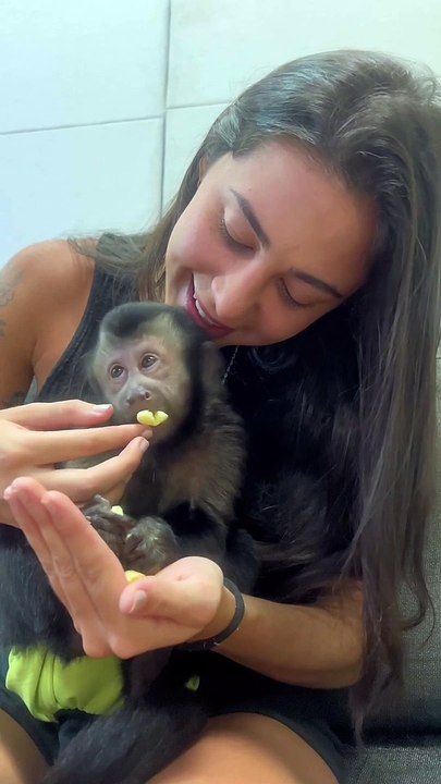 Cute Monkey Shares His Snack