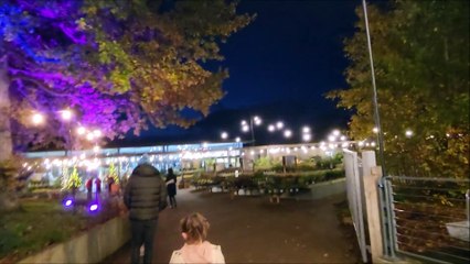 Glow Wild at Wakehurst Night press night