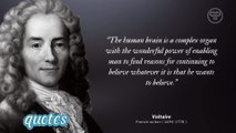 Inspirational sayings from Voltaire on achieving success