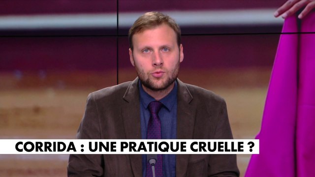 Alexandre Devecchio : «Il y a une gauche sociétale, et elle épouse tous les délires sociétaux du moment»