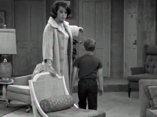 Dick Van Dyke S02E23 (Give Me Your Walls!)