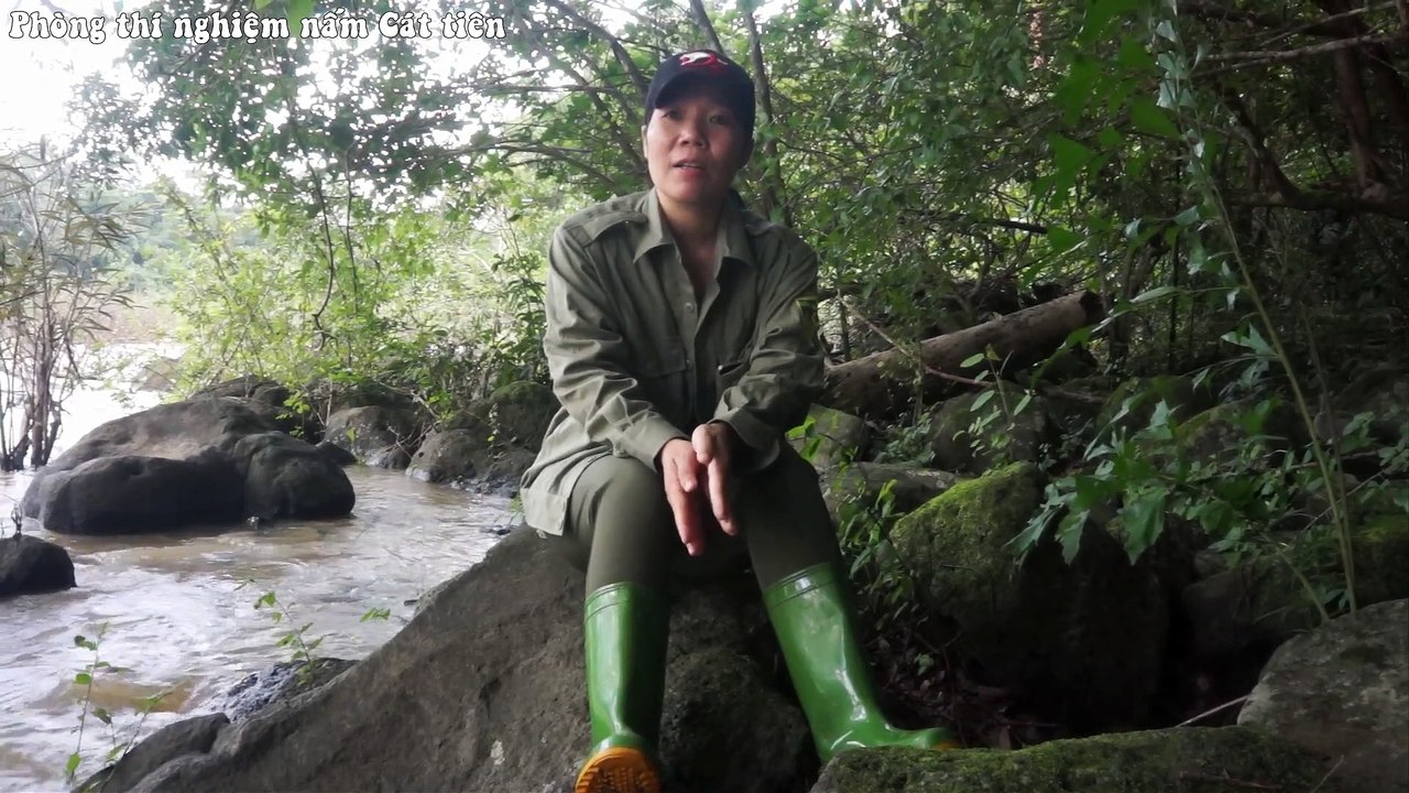 Cùng nữ Kiểm lâm tìm rái cá ở Vườn quốc gia Cát tiên. Small Otter in Cat tien national park. _HD
