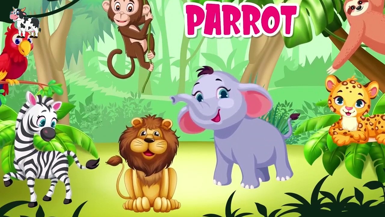 Animals for Kids 2