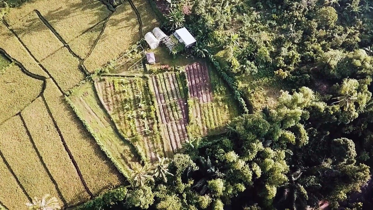 Organiika Farm