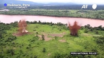 Police destroy illegal airstrip used by drug traffickers in Amazon