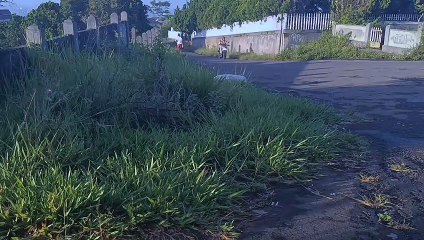 sinematic nature bandung cinematic nature west java_1080pFHR